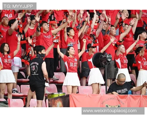 足球年费的价值与影响如何提升球迷体验与俱乐部收益