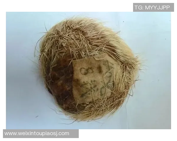 足球麝香的魅力与传奇探索足球文化的独特香气与激情